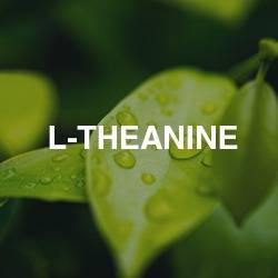 L-theanine
