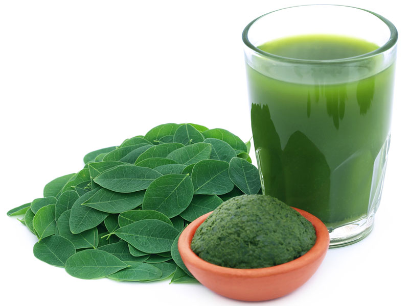 moringa oleifera leaves and greens drink